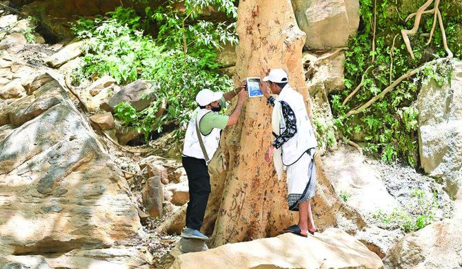 L'initiative "Marcher dans les bras de la nature" a offert aux habitants et aux visiteurs diverses possibilités de volontariat, notamment l'entretien des arbres dans les parcs nationaux, des campagnes de nettoyage et l'éducation à l'environnement. (X : ncvcksa/SPA)