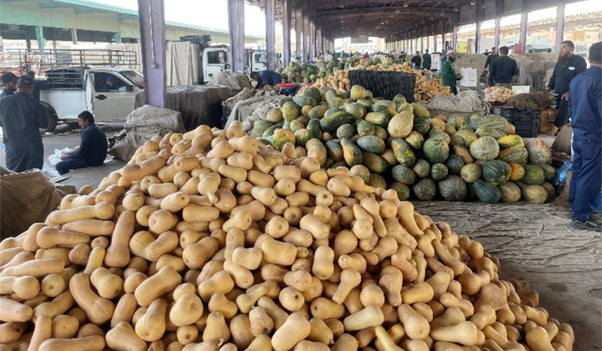 Les agriculteurs saoudiens conservent les dattes à l’aide d’une technique appelée « gainage », qui consiste à couvrir les fruits pour les protéger des ravageurs, des conditions météorologiques et d’autres formes de contamination. (Photo AN)