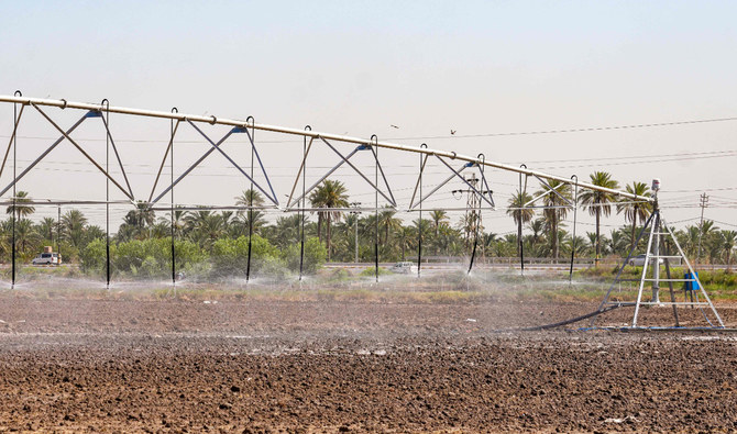 Irak: les fermiers innovent pour sauver la production de riz