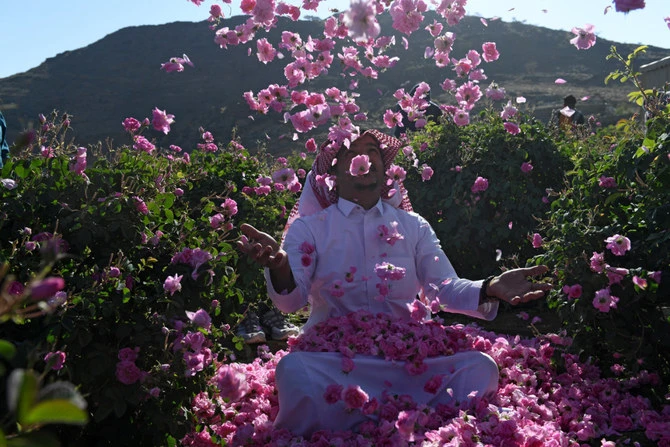 Taif: Une utilisation durable de l'eau permet l'exportation des roses saoudiennes au niveau mondial