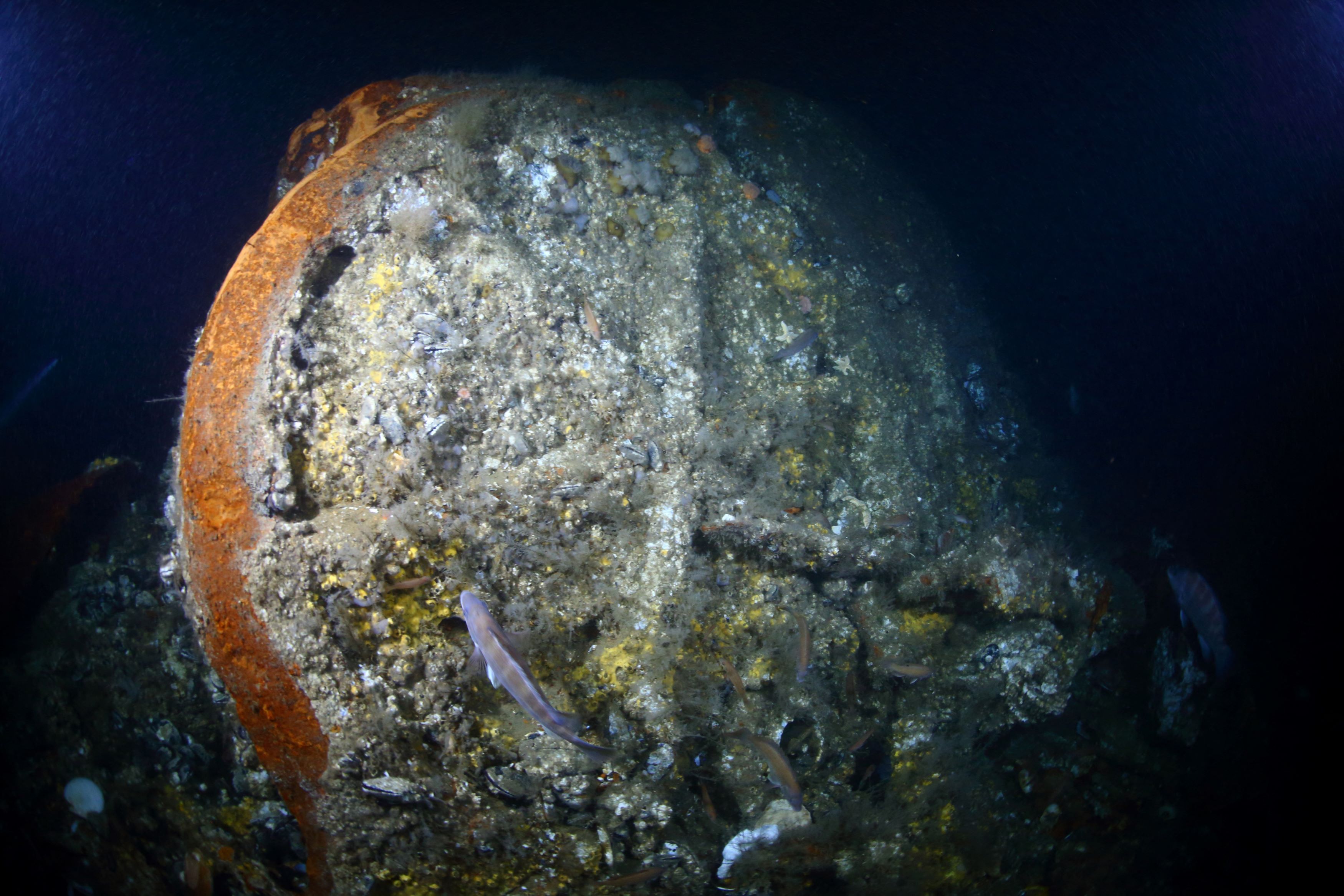 L'épave d'un navire français, coulé en 1856, retrouvée au fond de l'Atlantique nord