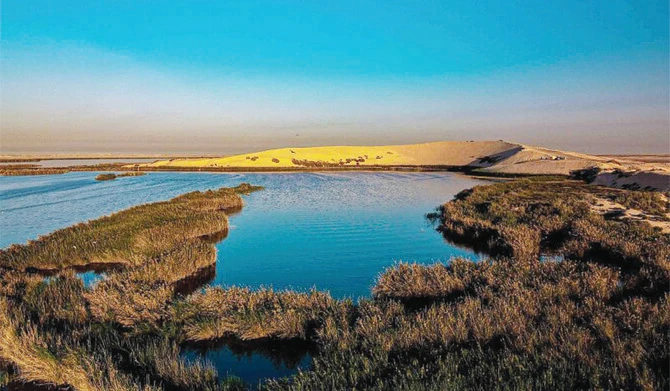 Des flamants hauts en couleurs et des dunes de sable attirent les visiteurs au lac Al-Asfar