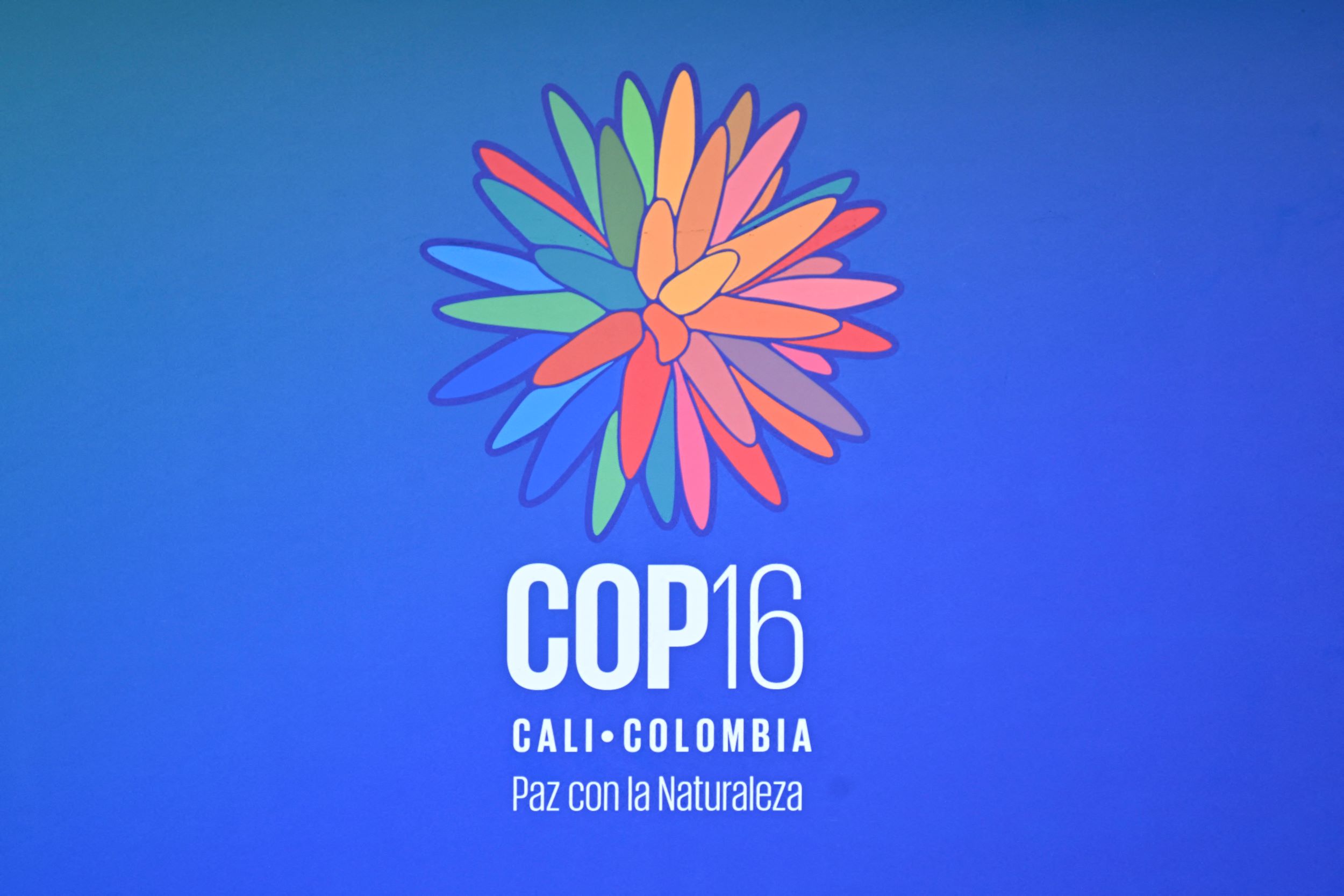 COP16 de Cali: le "moment de passer de la parole aux actes", selon l'UE