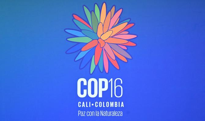Pour des crédits biodiversité « éthiques », une feuille de route mondiale a été lancée à la COP16