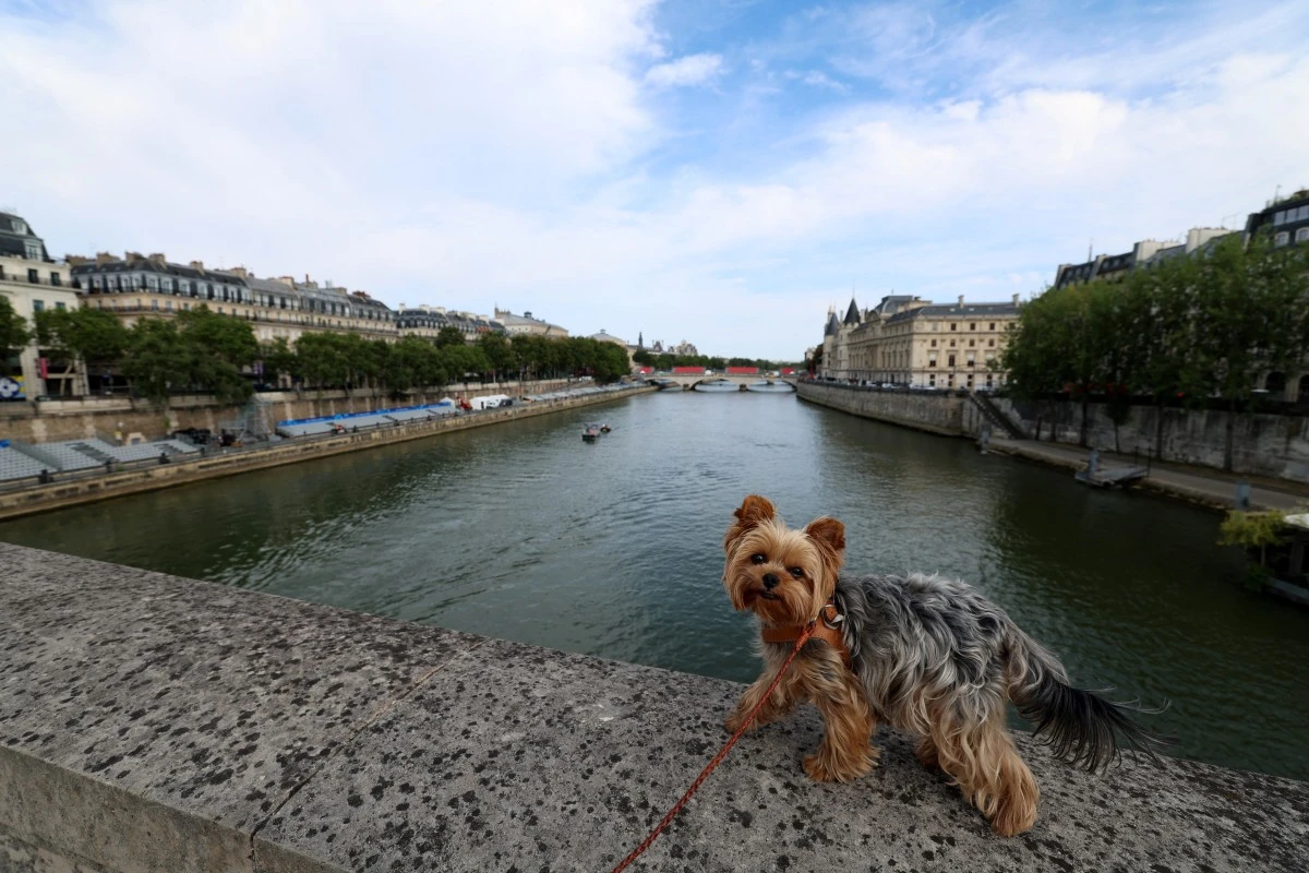Le Pont-Neuf à Paris habillé «en grotte» en septembre, hommage à Christo signé JR