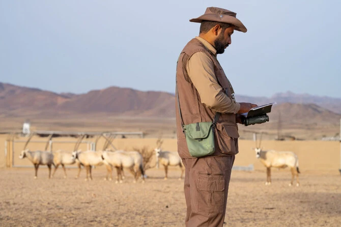 Comment la réserve royale du prince Mohammed ben Salmane protège la biodiversité en Arabie saoudite