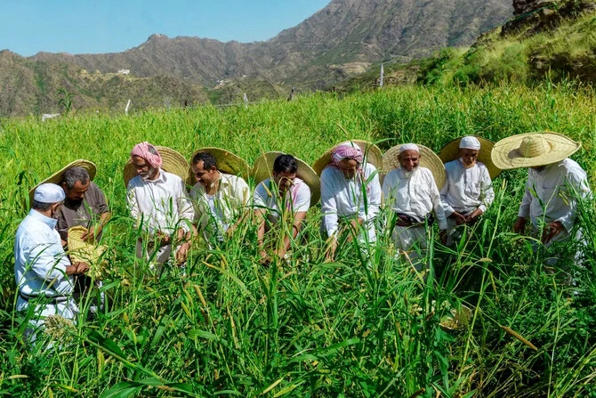 Des chercheurs de l'université KAUST mettent au point des techniques de dessalement pour accroître la production agricole saoudienne