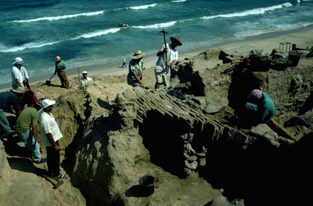 Gaza à l’IMA: lumière de l’histoire sur un champ de ruine et de désespoir