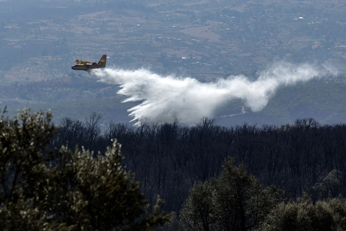 Maroc: le vaste incendie de forêt dans le nord est "circonscrit"