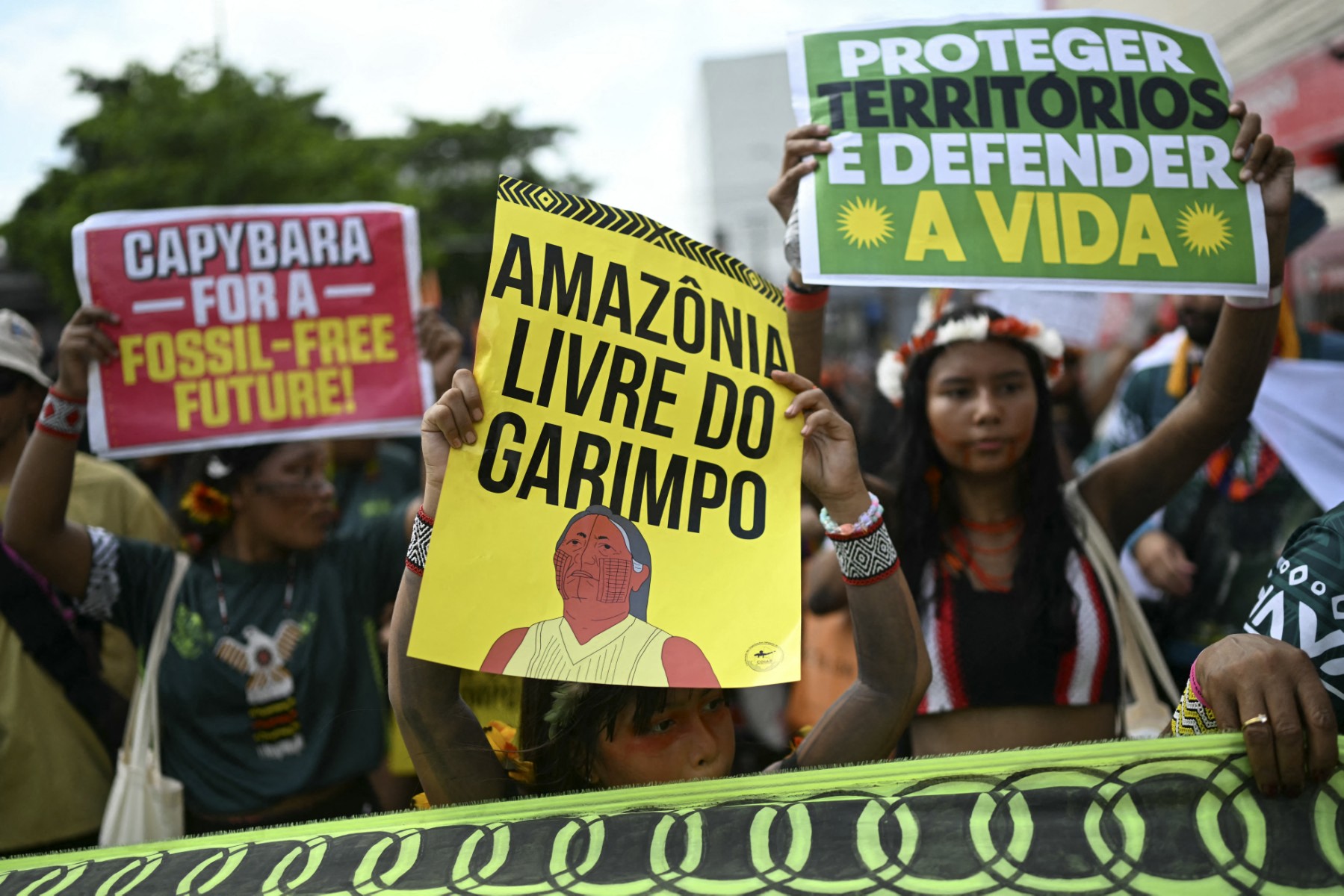 Quatre banques françaises accusées par des ONG de financer la déforestation en Amazonie