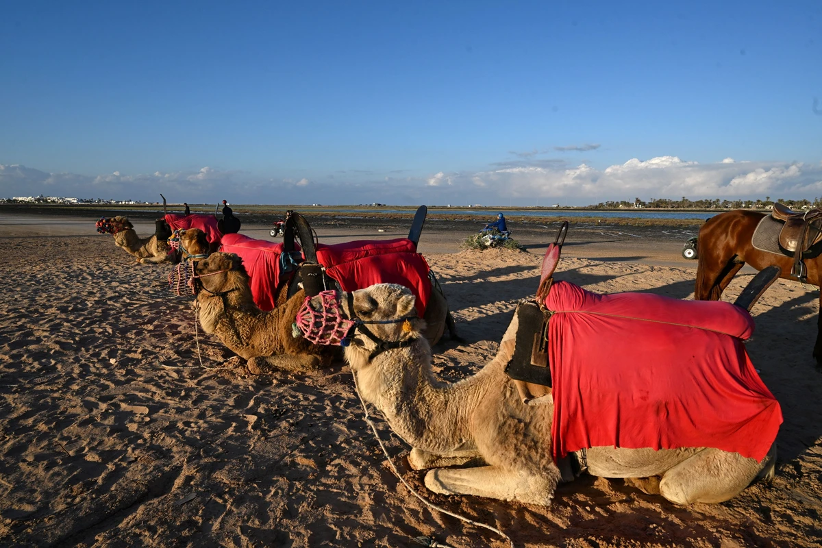 Tunisie: à Djerba, un début de saison touristique ralenti par la crise au Moyen-Orient