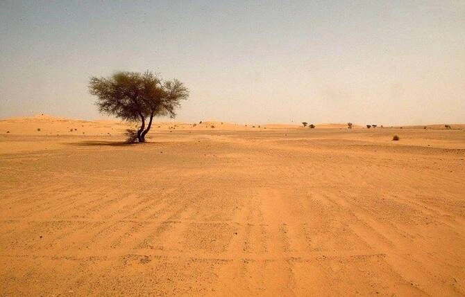 Niger: 49 personnes meurent de soif dans le désert après une panne de camion
