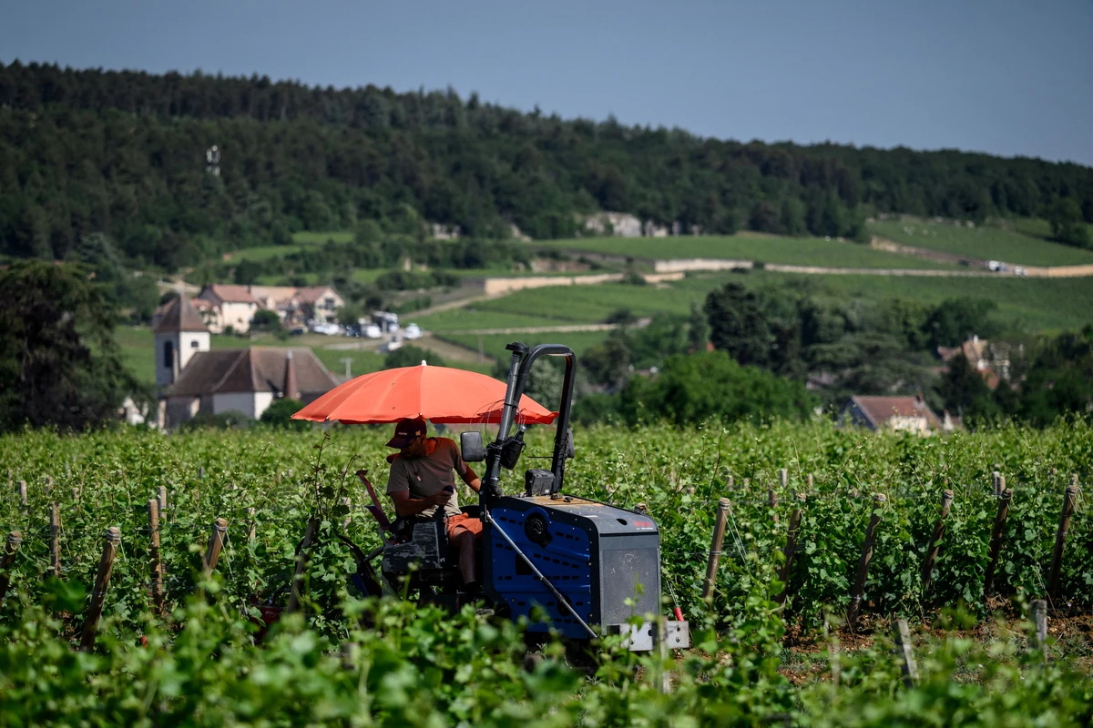 Deux tiers de la France en alerte canicule maximale, décrue des températures à l'horizon