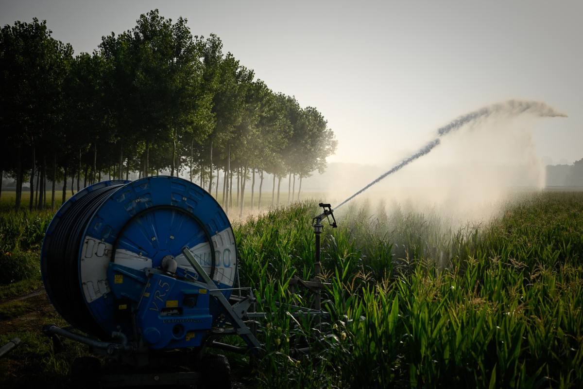 Nouvelle canicule: le gouvernement déclenche un plan inédit Orsec «chaleurs extrêmes»