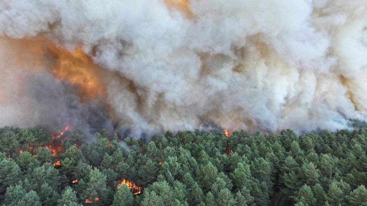 France : deux Canadair envoyés face à l'incendie hors norme de Fontainebleau, près de Paris