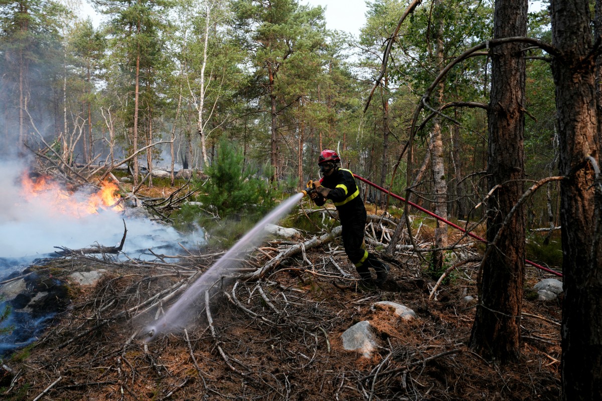 En forêt de Fontainebleau, les opérations se poursuivent pour contenir les reprises de feu