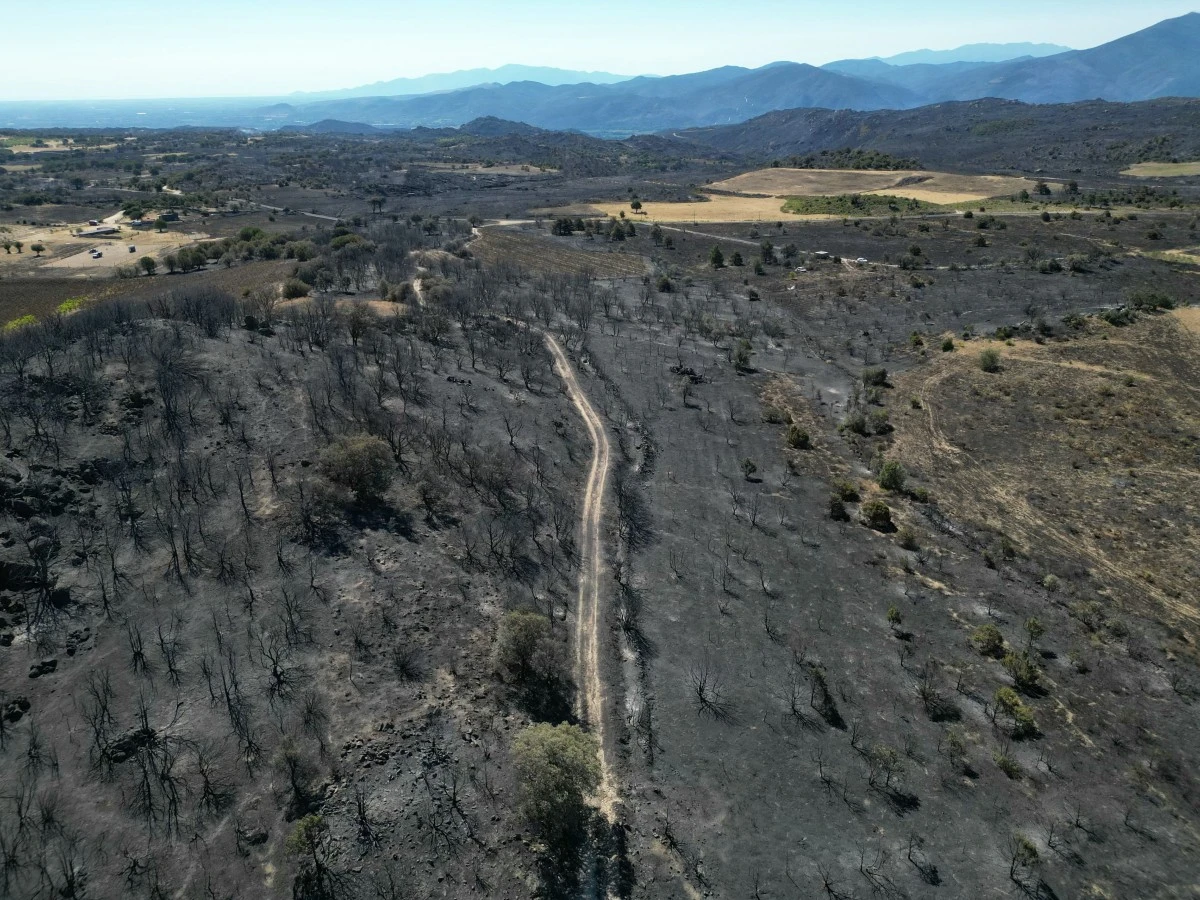 Incendie dans le Cher: risque «écarté» concernant le site d'armement Seveso