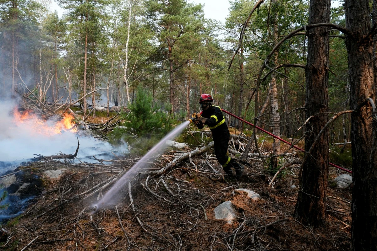 En forêt de Fontainebleau, les opérations se poursuivent pour contenir les reprises de feu
