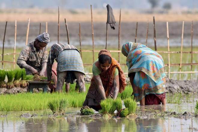 Civil society playing essential role in world’s COVID-19 recovery