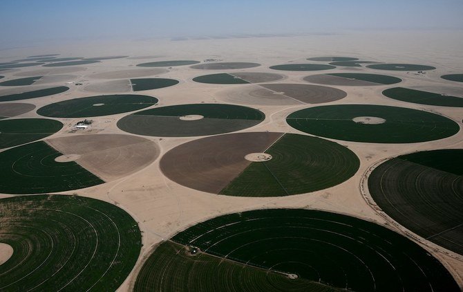 Saudi Arabia shows region the way on climate action