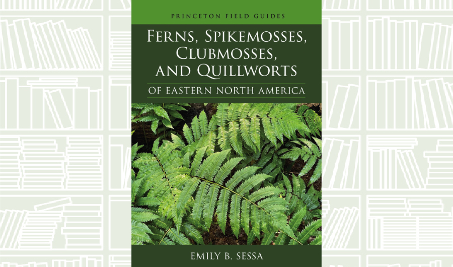 What We Are Reading Today: ‘Ferns, Spikemosses, Clubmosses, and Quillworts of Eastern North America’