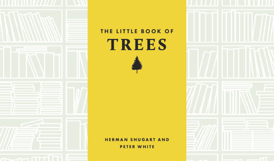 What We Are Reading Today: ‘The Little Book of Trees’