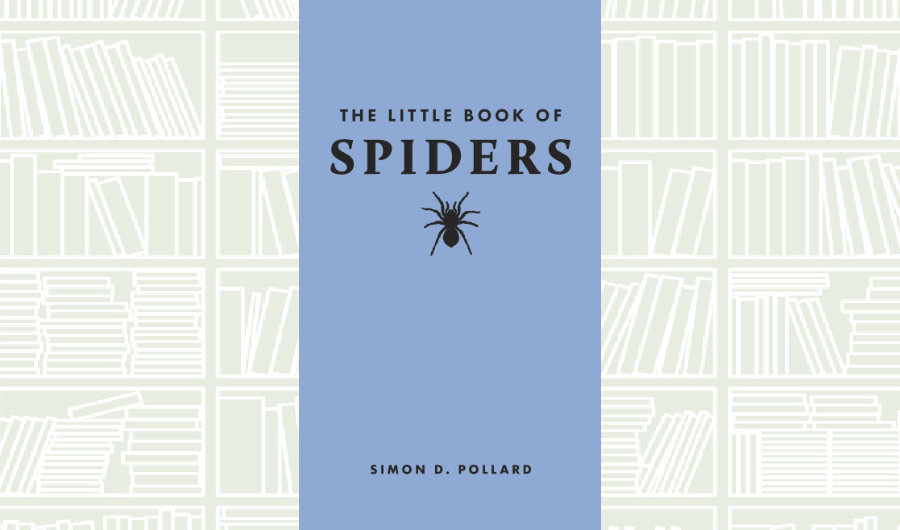 What We Are Reading Today: The Little Book of Spiders by Simon Pollard
