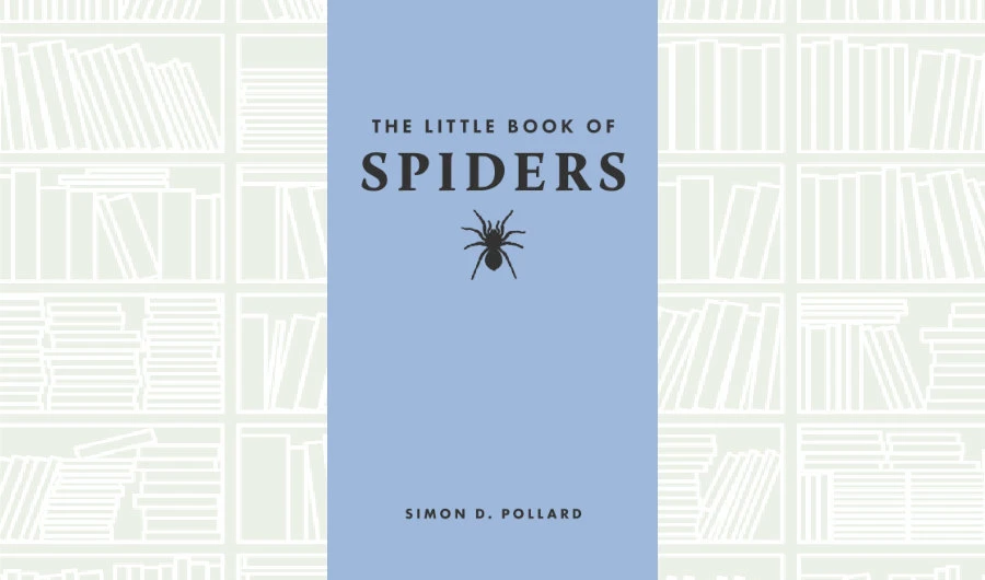 What We Are Reading Today: The Little Book of Spiders by Simon Pollard