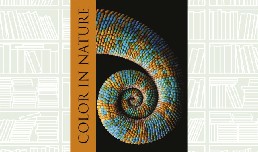 What We Are Reading Today: ‘Color in Nature’
