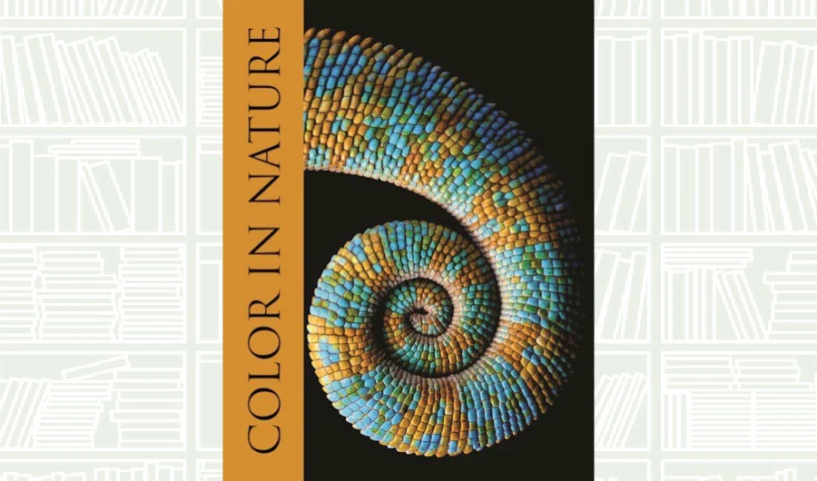 What We Are Reading Today: ‘Color in Nature’