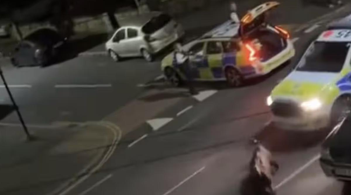 An officer who tried to intercept a fleeing cow by hitting it with a vehicle in England has been removed from duty, police said in a statement on Sunday. (Screenshot)