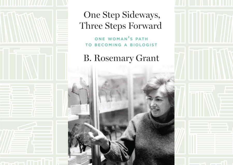 What We Are Reading: ‘One Step Sideways, Three Steps Forward’