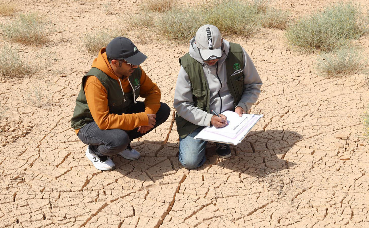 Saudi Arabia has conducted extensive studies to better understand the processes of desertification and land degradation. (SPA)