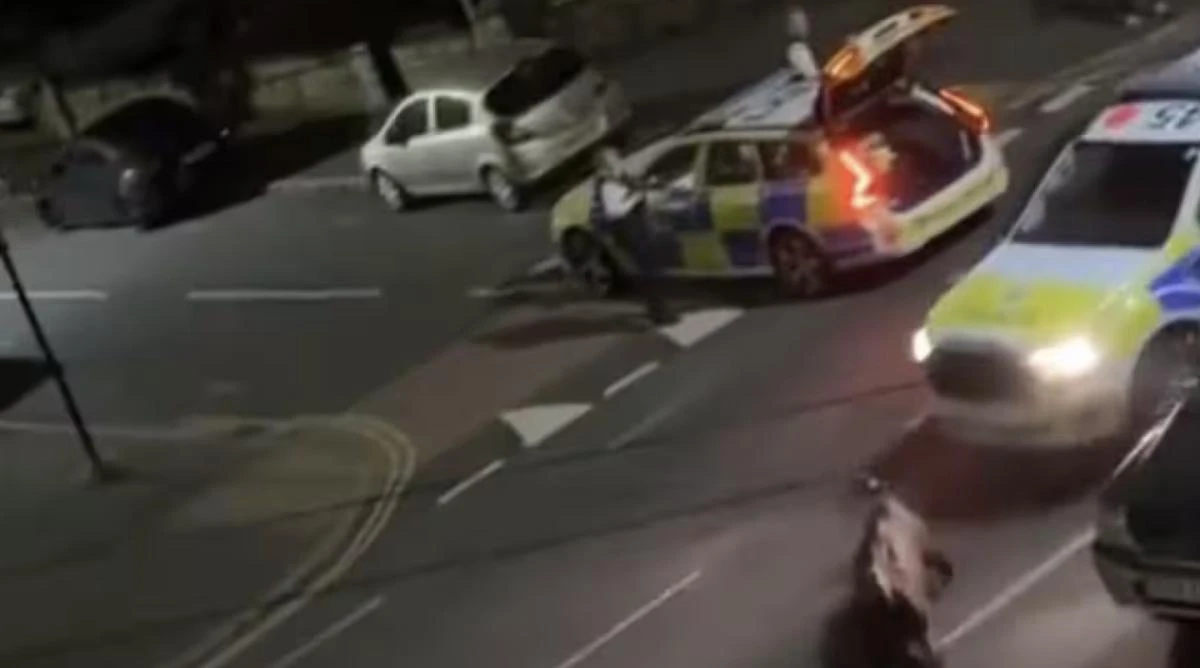 An officer who tried to intercept a fleeing cow by hitting it with a vehicle in England has been removed from duty, police said in a statement on Sunday. (Screenshot)