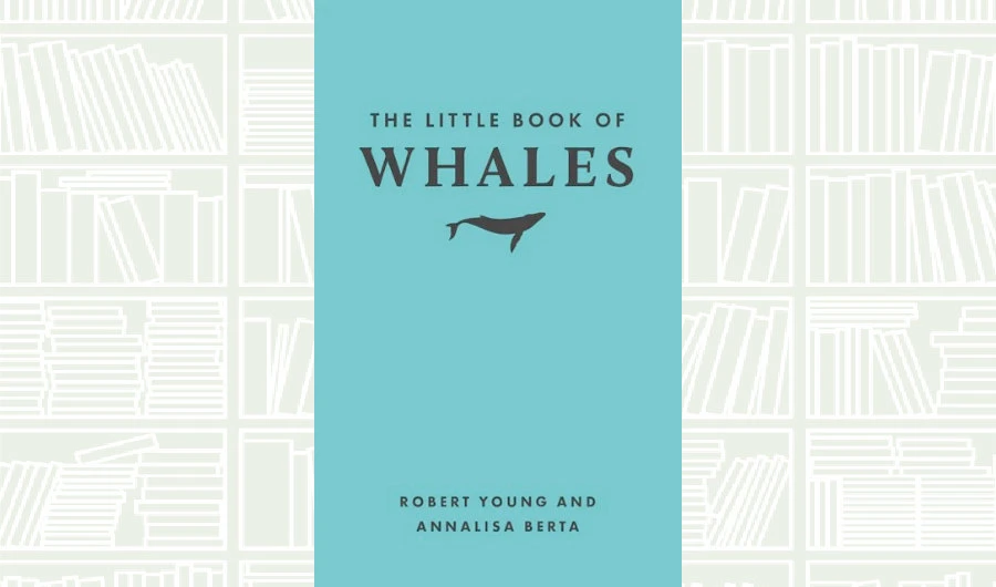 What We Are Reading Today: ‘The Little Book of Whales’