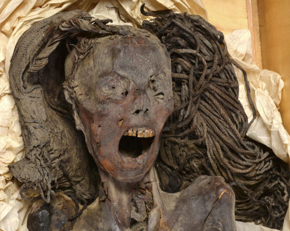 The face of the "Screaming Woman" mummy, discovered in 1935 at Deir Elbahari near Luxor and dating to about 1500 BC during ancient Egypt?s New Kingdom period, is seen at the Egyptian Museum in Cairo, Egypt. (Reuters)