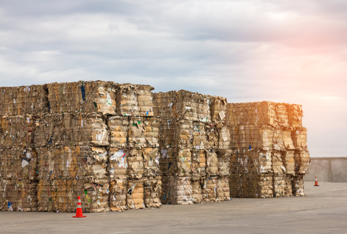 Global paper consumption has increased by 400 percent over the last 40 years, despite the computing revolution. (Shutterstock)