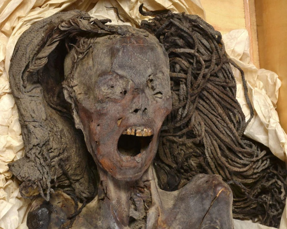 The face of the "Screaming Woman" mummy, discovered in 1935 at Deir Elbahari near Luxor and dating to about 1500 BC during ancient Egypt?s New Kingdom period, is seen at the Egyptian Museum in Cairo, Egypt. (Reuters)