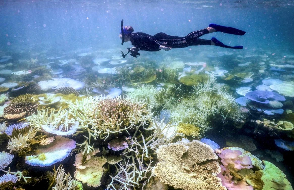 Since 2016, Australia’s Great Barrier Reef has experienced five summers of mass coral bleaching, when large sections of the reef turn white due to heat stress. These summers were during five of the six warmest years in the last four centuries. (AFP)