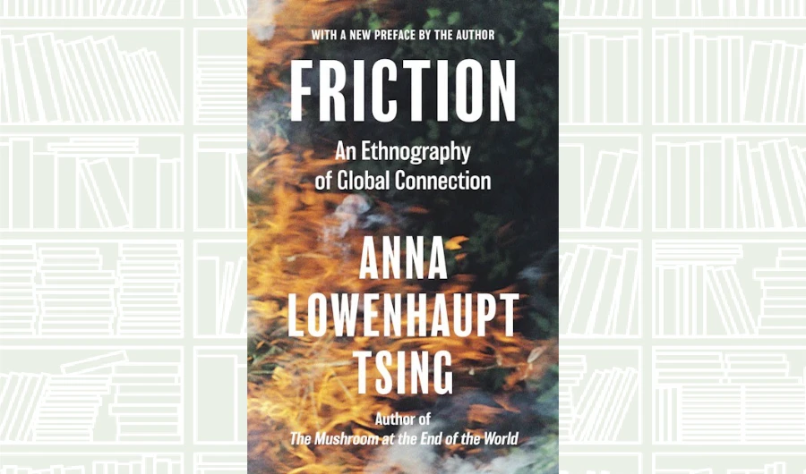 What We Are Reading Today: Friction by Anna Lowenhaupt Tsing