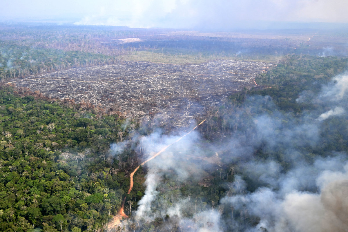 Aerial view of a rainforest under destruction in Amazonas state, Brazil, taken on August 20, 2024. (AFP/File)
