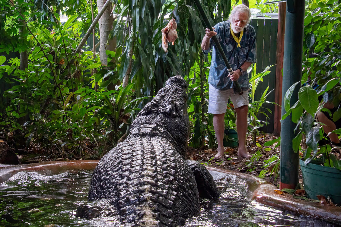 Cassius, the world’s largest captive crocodile, is fed at the Marineland Melanesia on Green Island, Great Barrier Reef, Cairns, Australia on March 18, 2023. (AAP Image via Reuters)
