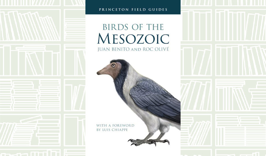What We Are Reading Today: ‘Birds of the Mesozoic’