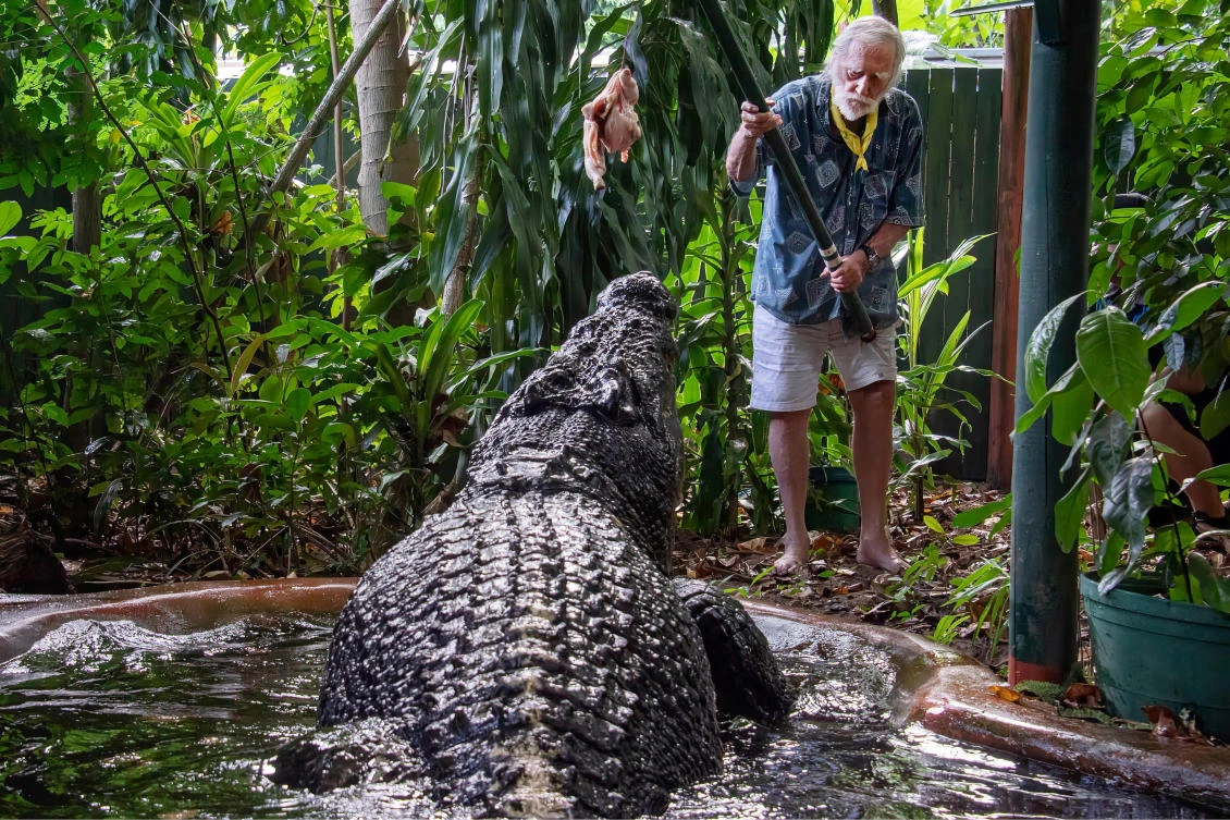 Cassius, the world’s largest captive crocodile, is fed at the Marineland Melanesia on Green Island, Great Barrier Reef, Cairns, Australia on March 18, 2023. (AAP Image via Reuters)