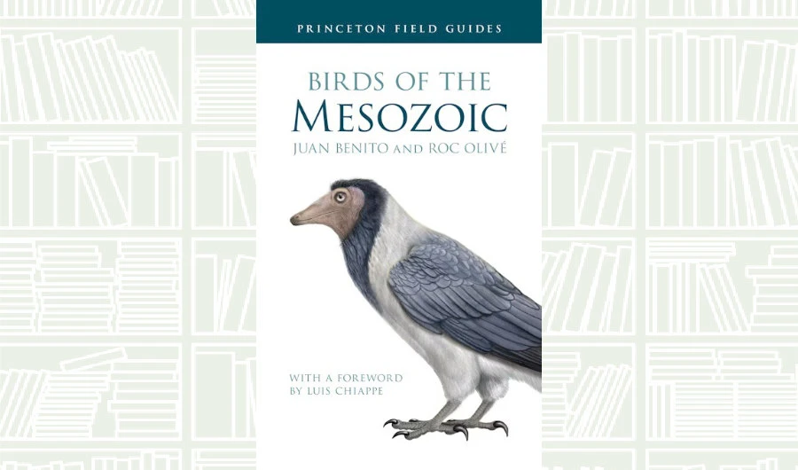 What We Are Reading Today: ‘Birds of the Mesozoic’