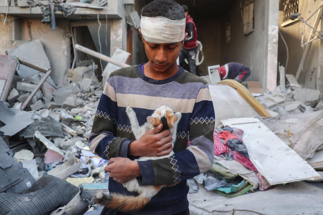 A man holds a cat as he and others check the rubble of a building after an Israeli strike in Nuseirat in the central Gaza Strip on December 5, 2024, as the war between Israel and Hamas militants continues. (AFP)