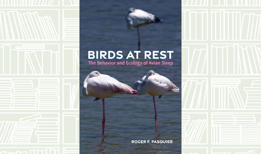 What We Are Reading Today: ‘Birds at Rest’ by Roger Pasquier