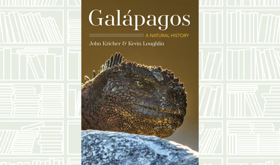 What We Are Reading Today: ‘Galápagos’