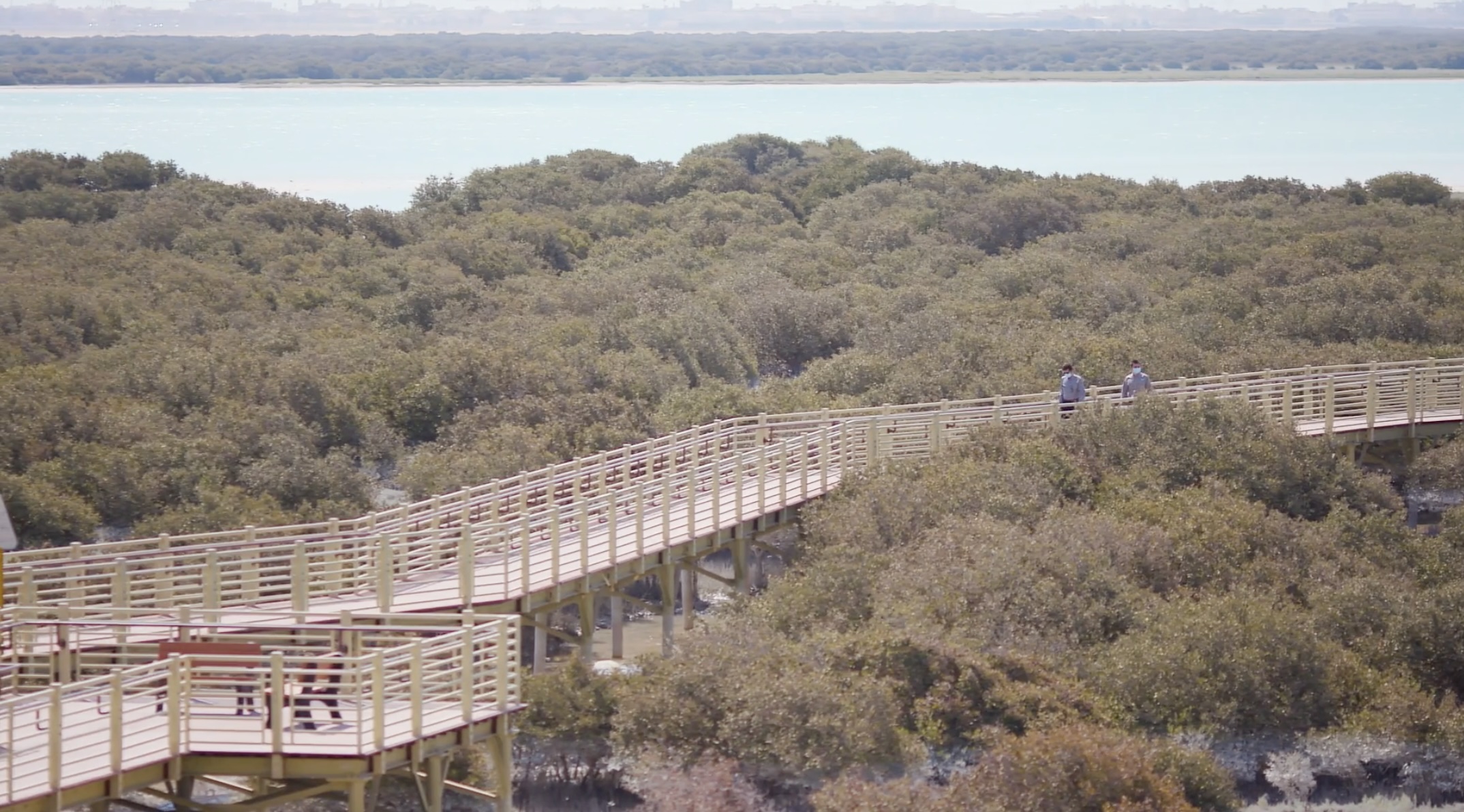 A view of Khurais, a biodiverse wetland established by Aramco alongside its operating facilities. (Aramco photo)