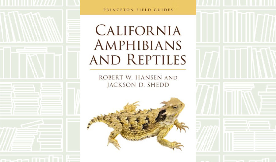 What We Are Reading Today: ‘California Amphibians and Reptiles’